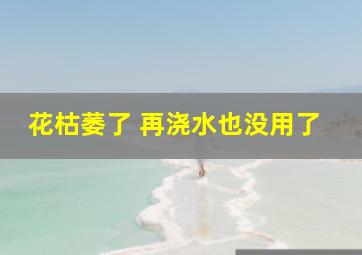 花枯萎了 再浇水也没用了